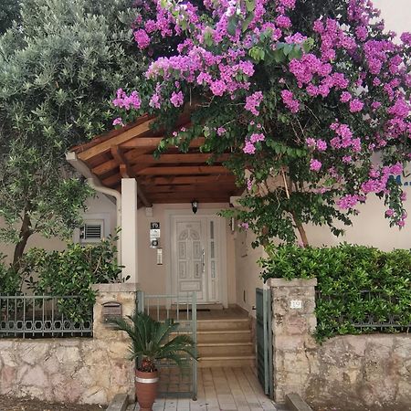 Apartments Maris Petrovac Екстер'єр фото