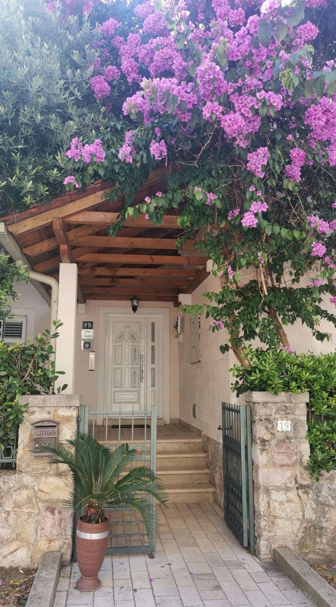Apartments Maris Petrovac Екстер'єр фото