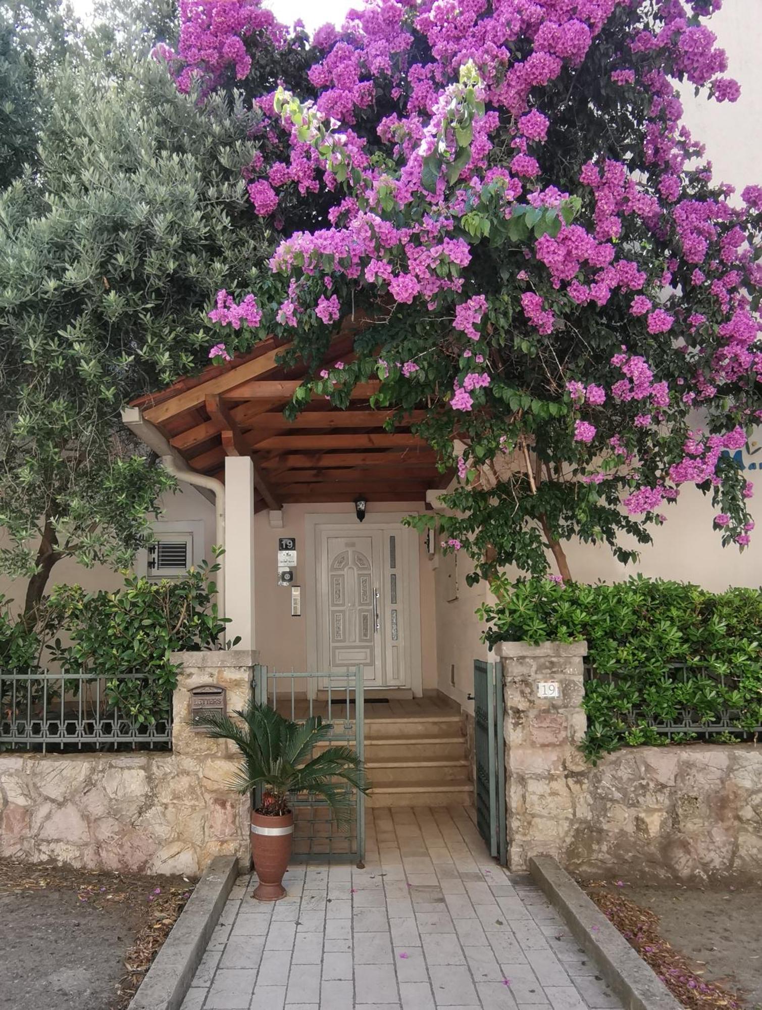 Apartments Maris Petrovac Екстер'єр фото